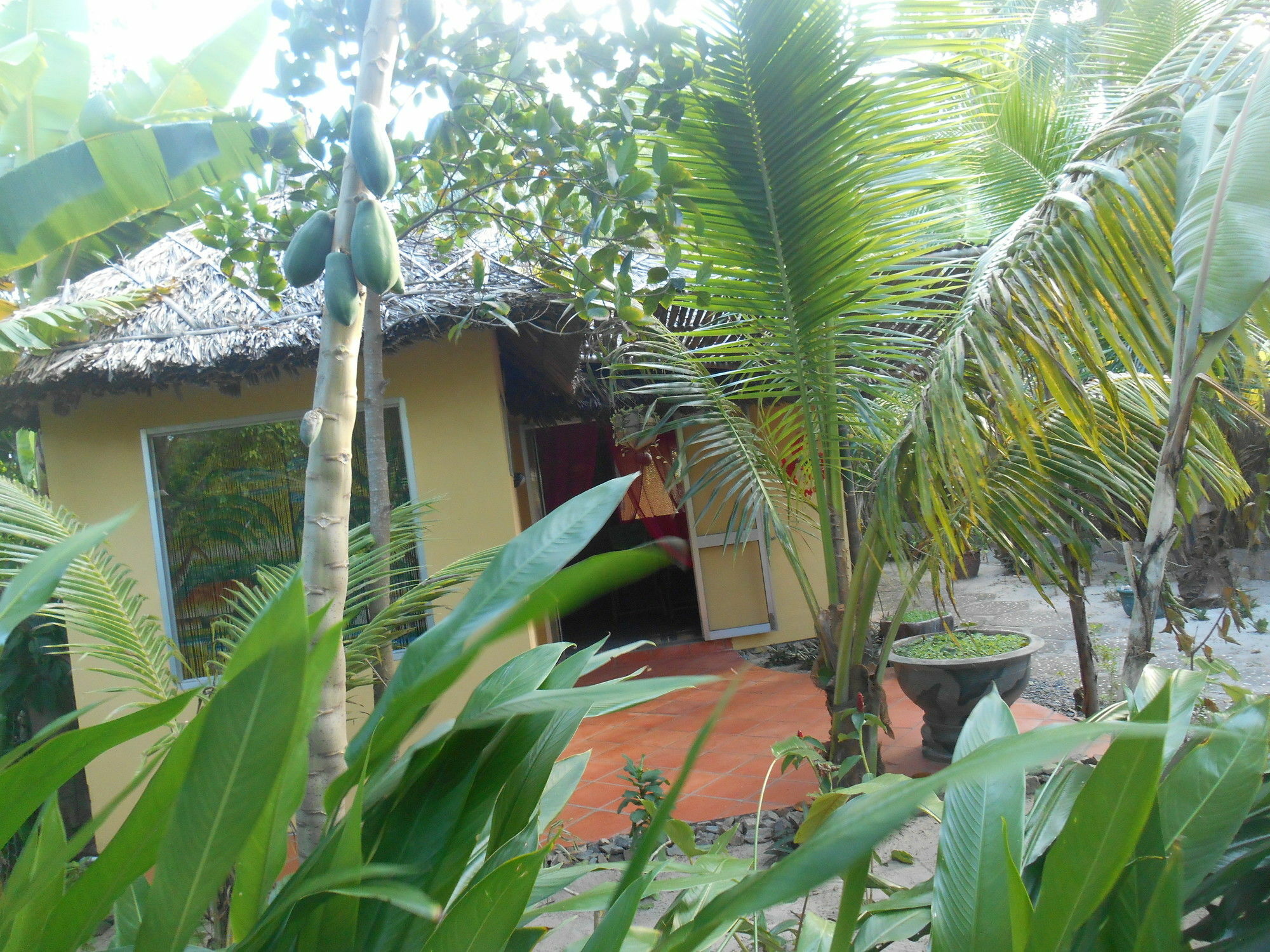 Thuy - Gunter Garden Bungalow Apartment Mui Ne Exterior photo