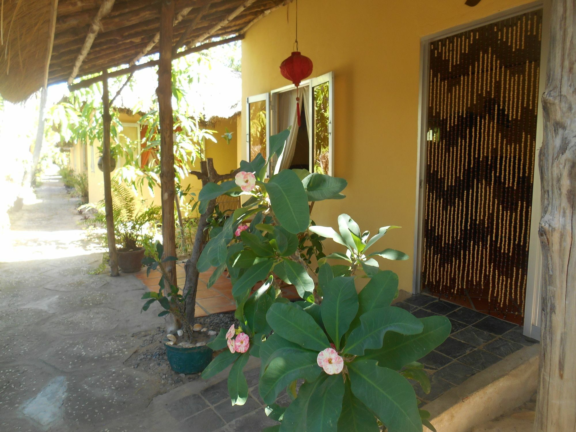 Thuy - Gunter Garden Bungalow Apartment Mui Ne Exterior photo