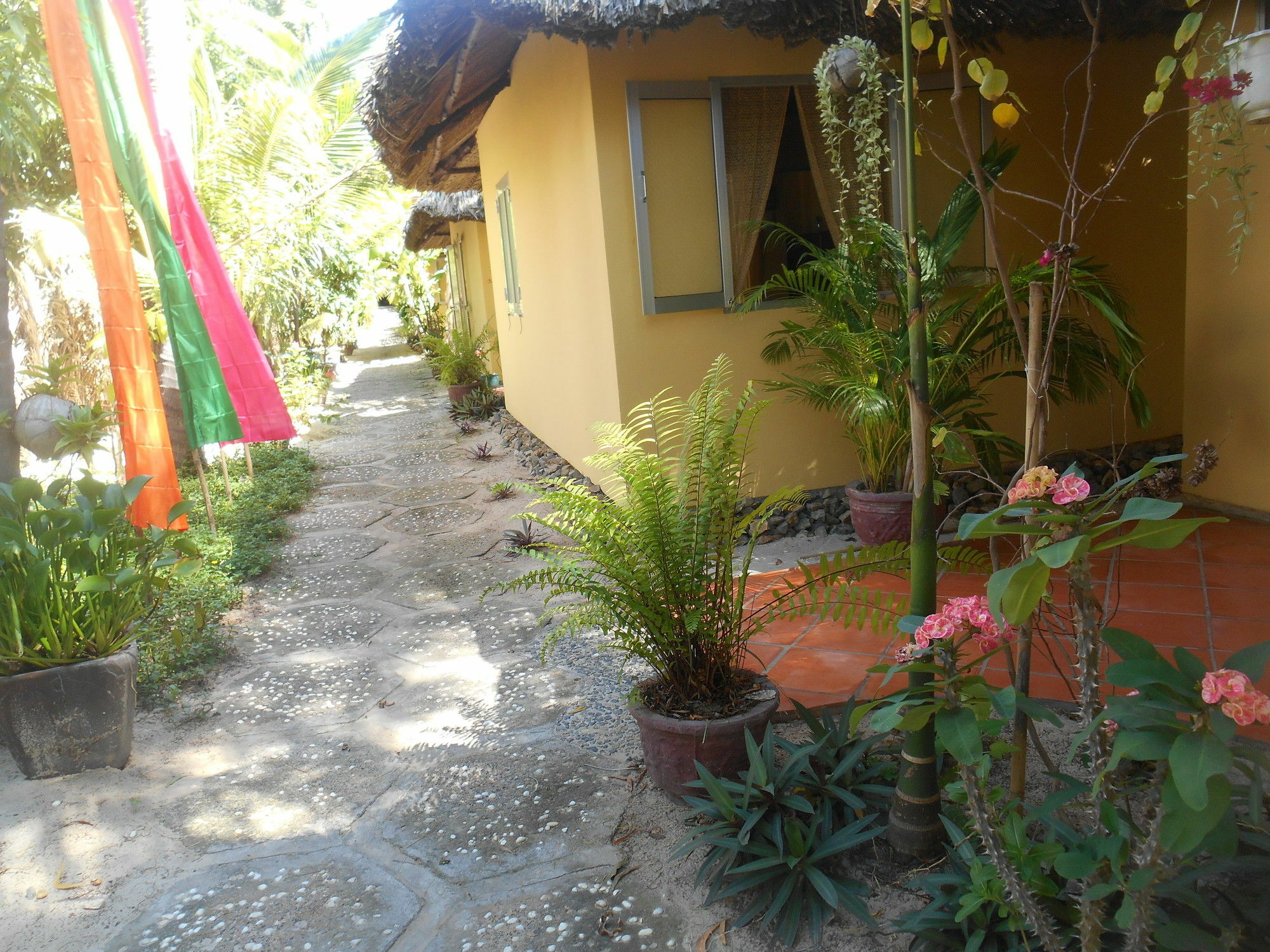 Thuy - Gunter Garden Bungalow Apartment Mui Ne Exterior photo